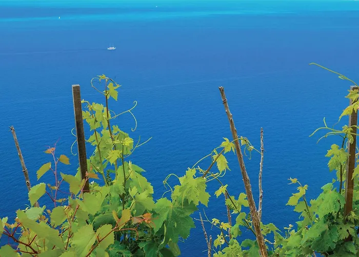 بيت للعطل Lovely In